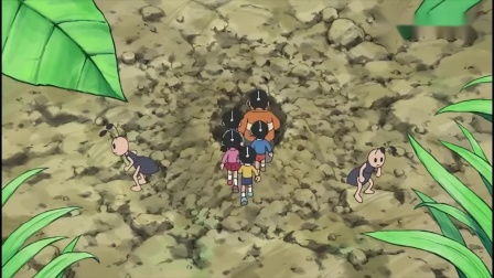 蚁群 微小个体构筑的非凡社会