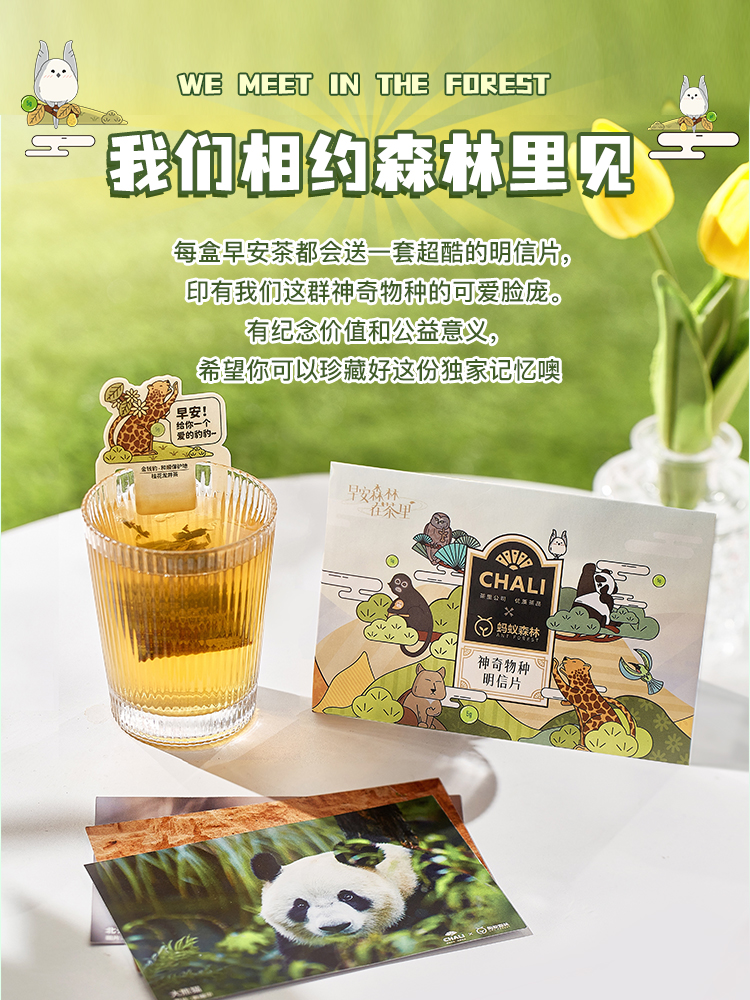 早安茶香，点亮绿色生活——CHALI茶里×蚂蚁森林联名花果茶体验